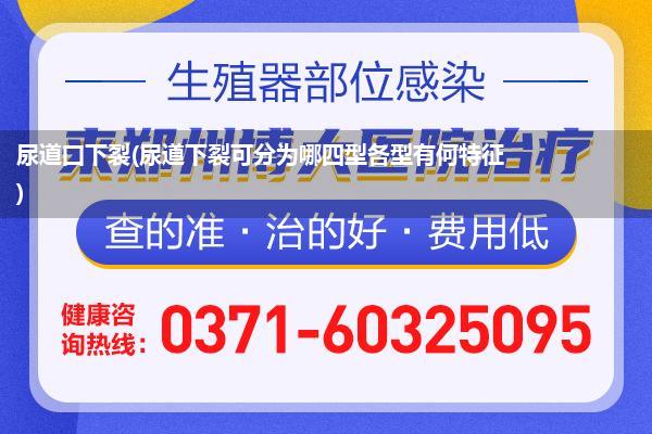 尿道囗下裂(尿道下裂可分为哪四型各型有何特征)